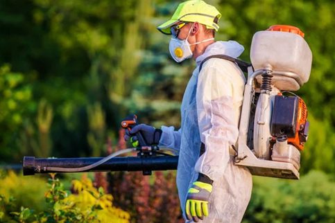 Pest Control Services